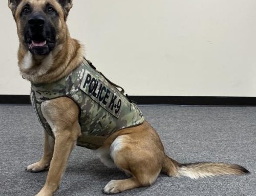 White Pigeon Police Department’s K9 Azor has received donation of body armor